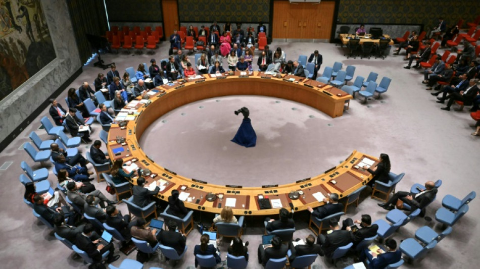 Conselho de Seguran&ccedil;a exige fim de cerco a cidade na regi&atilde;o de Darfur