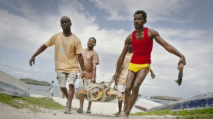 Sur la côte kényane, la petite ONG qui sauve les tortues par milliers