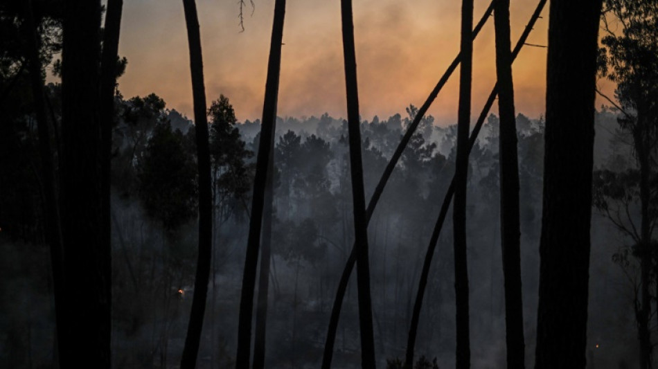 Sous la canicule, le Portugal peine &agrave; ma&icirc;triser plusieurs feux de for&ecirc;t