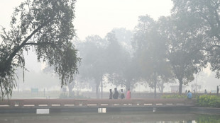Des niveaux de pollution "dangereux" &agrave; Delhi dus aux br&ucirc;lages agricoles 
