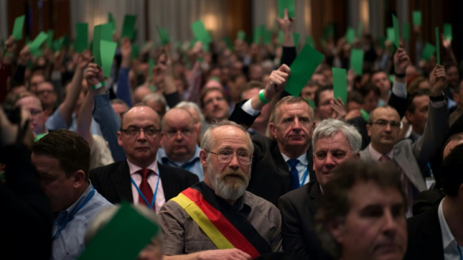 AfD-Chef gibt Regierungsbeteiligung als n&auml;chstes Ziel der Partei aus