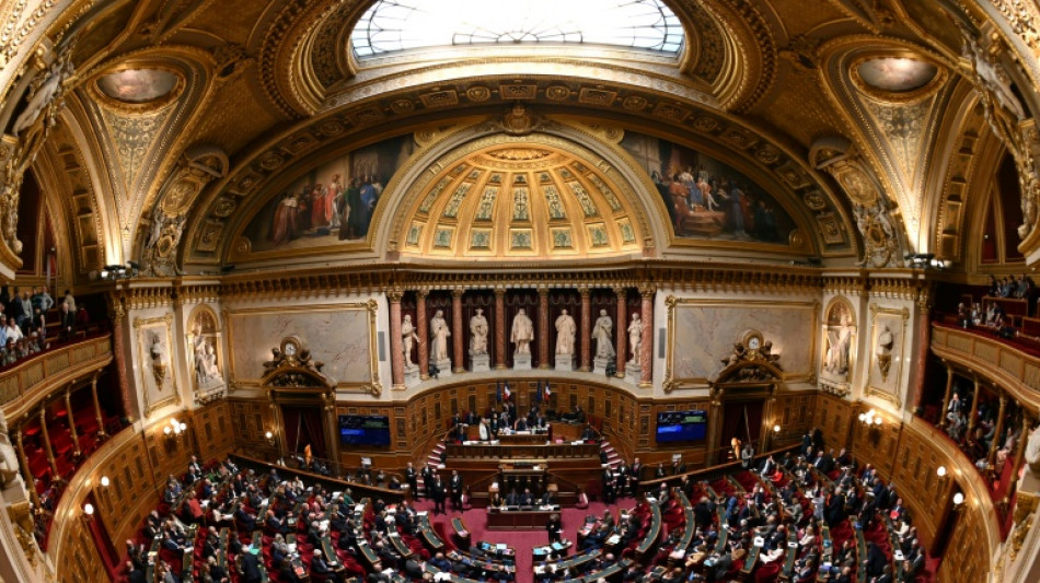 Moins de "cailloux dans les chaussures des entrepreneurs": la loi Simplification devant le S&eacute;nat