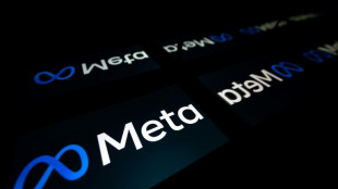 Meta met le turbo dans l'intelligence artificielle g&eacute;n&eacute;rative avec Llama 3