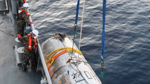 S&uuml;dkoreas Milit&auml;r birgt mutma&szlig;lich Hauptteil von Nordkoreas Weltraumrakete