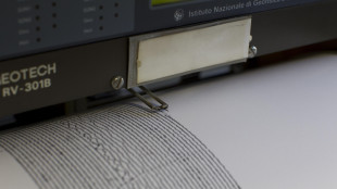 Campi Flegrei,terremoti pi&ugrave; probabili col sollevamento del suolo