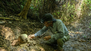 Bone collectors: searching for WWII remains in Okinawa