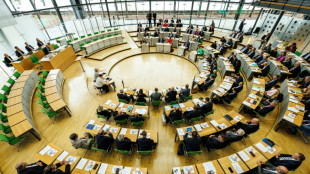 Auf AfD-Antrag: Corona-Untersuchungsausschuss in s&auml;chsischem Landtag eingesetzt