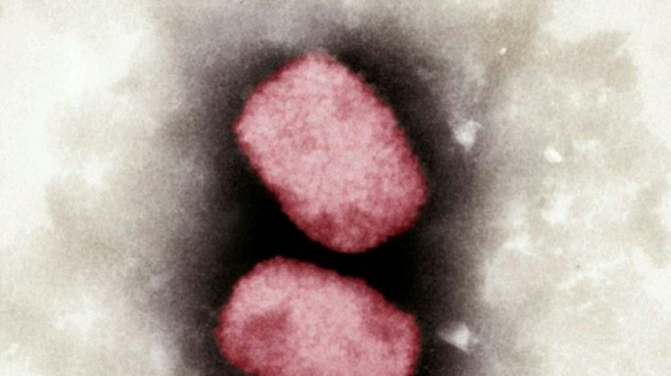 Diskussion &uuml;ber Impfschutz gegen Affenpocken in Deutschland
