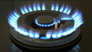 Mehrere Energieanbieter informieren zu sp&auml;t &uuml;ber Energiepreisbremsen