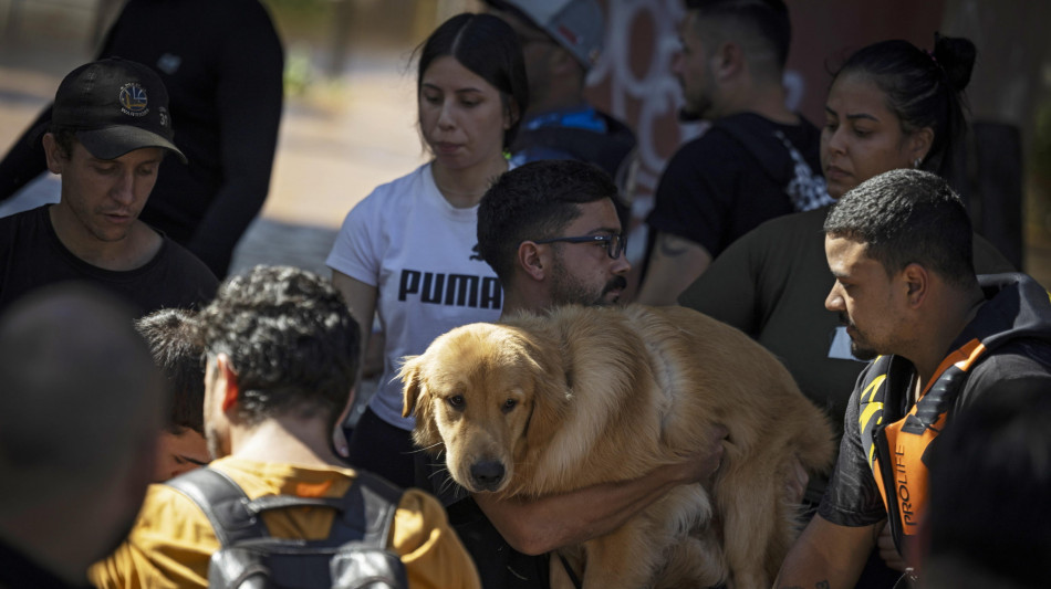 Alluvioni in Brasile, la nuova sfida &egrave; salvare anche gli animali