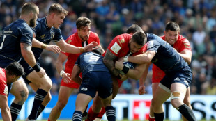 Rugby: Toulouse &eacute;limin&eacute; en demi-finale de la Coupe d'Europe par le Leinster (40-17)