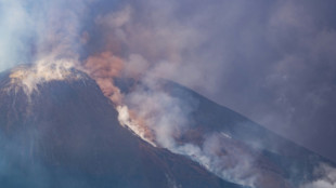 Italy's Mount Etna erupts, spewing ash, gas and rock
