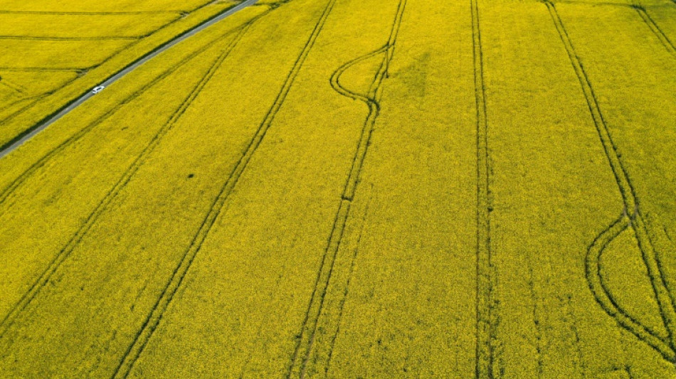 Umweltministerin Lemke offen f&uuml;r Nutzung von Biodiesel f&uuml;r Landwirtschaft