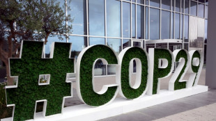 A deux mois de la COP29, la peur grandit d'un &eacute;chec sur la finance climatique