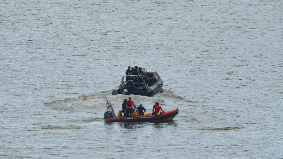 Movilizaci&oacute;n en Francia para socorrer a una beluga en el r&iacute;o Sena