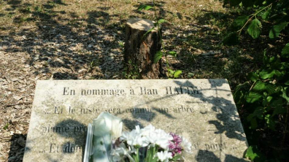 Abattage d'un olivier rendant hommage &agrave; Ilan Halimi: deux hommes interpell&eacute;s