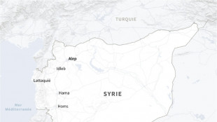 Syrie: accrochages entre forces gouvernementales et jihadistes fran&ccedil;ais men&eacute;s par Oumar Diaby