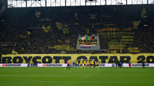 German football fans call for Qatar World Cup boycott