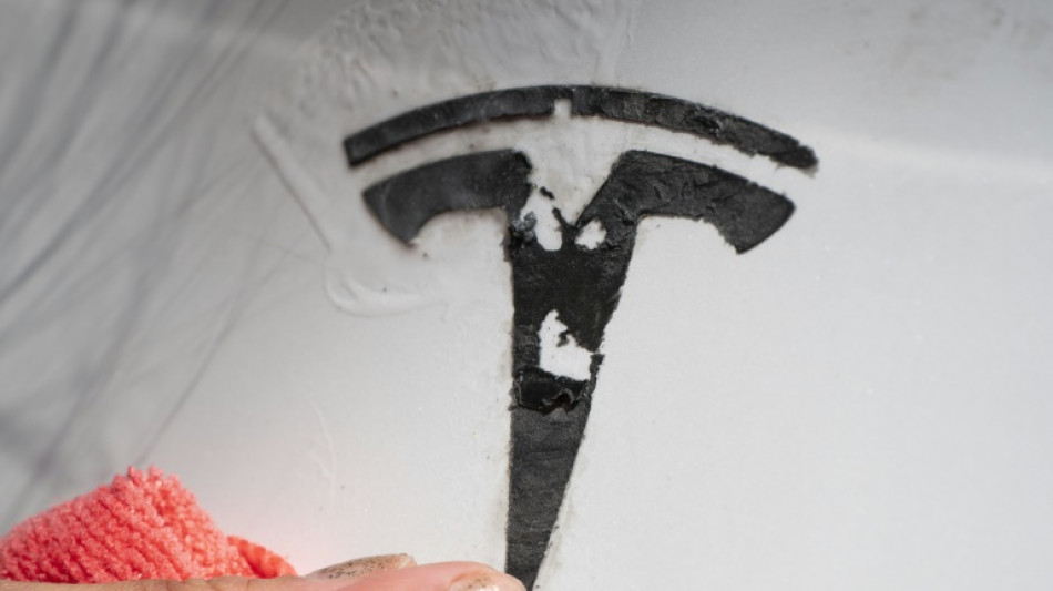 Man charged over Tesla arson as anti-Musk wave sweeps US