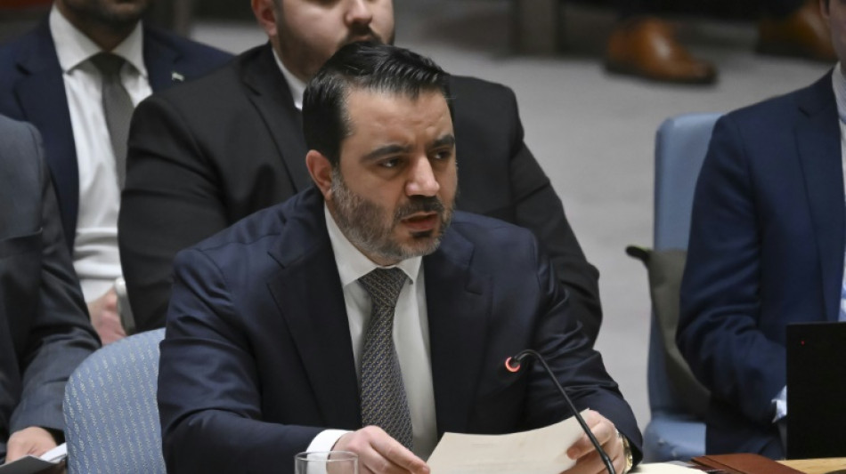 Damas demande au Conseil de sécurité de l'ONU de "faire pression" sur Israël