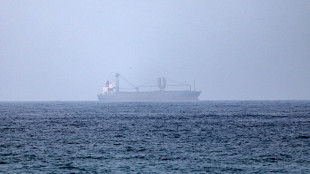 Axios, 'verso conferenza a Londra su coalizione internazionale per Hormuz'