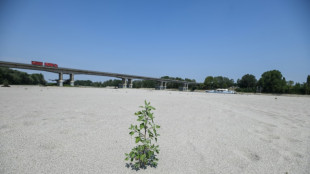 S&eacute;cheresse: l'ONU appelle &agrave; "agir maintenant" pour &eacute;viter des "d&eacute;sastres humains"