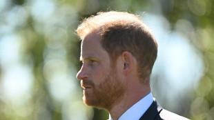 Incognita sicurezza sulla visita in Gb, Harry teme 'minacce terroristiche'