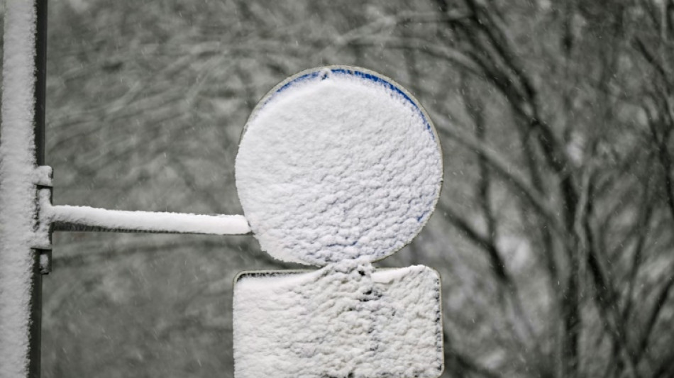 Sturm und Schnee sorgen f&uuml;r Unf&auml;lle in S&uuml;den und Westen - Mann von Baum erschlagen