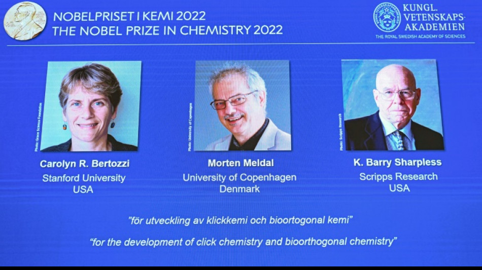 Dos estadounidenses y un dan&eacute;s ganan el Premio Nobel de Qu&iacute;mica