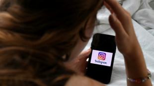 Les femmes et le num&eacute;rique: le HCE d&eacute;nonce un "cercle vicieux" du sexisme