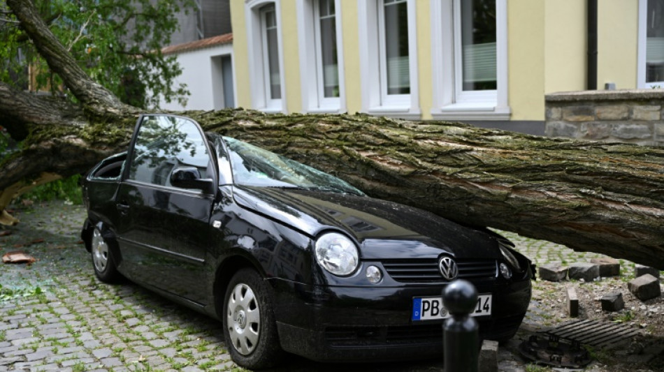 Preise f&uuml;r Autoversicherungen variieren stark - auch unabh&auml;ngig vom Unfallrisiko
