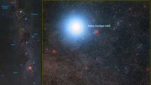 Cient&iacute;fico franc&eacute;s se disculpa por presentar rodaja de chorizo como estrella