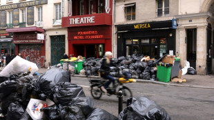 Retraites: des &eacute;boueurs toujours en gr&egrave;ve, 5.400 t de d&eacute;chets non ramass&eacute;es &agrave; Paris