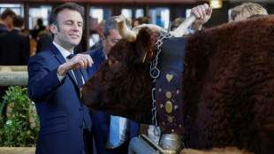 "De France et de Navarre", la ferme dans tous ses &eacute;tats au salon de l'Agriculture