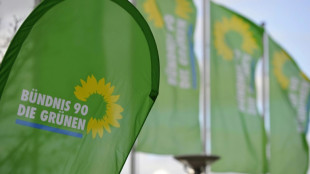 Weiter Kritik an Migrations-Memorandum von Gr&uuml;nen-Politikern  