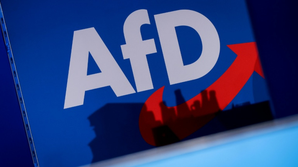 BKA-Chef M&uuml;nch: AfD-Regierungsbeteiligung w&auml;re nationales Sicherheitsrisiko