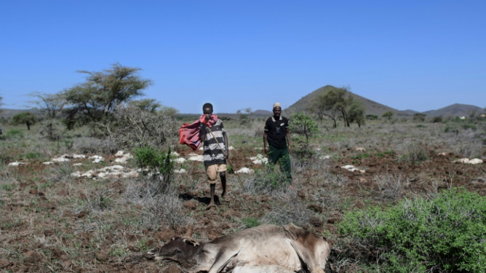 Los desastres clim&aacute;ticos aumentan y amenazan la subsistencia de pastores en Kenia