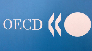 Impuesto mundial para empresas generar&iacute;a m&aacute;s de 200.000 millones de d&oacute;lares de ingresos por a&ntilde;o