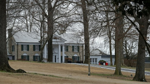 Mulher &eacute; detida nos EUA por plano para se apropriar de Graceland, mans&atilde;o de Elvis Presley