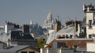 "C'est une fournaise": canicule et pollution &agrave; Paris perdureront samedi