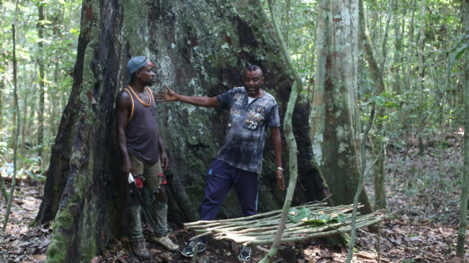 Au Gabon, un village veut sauver sa for&ecirc;t sacr&eacute;e de l'exploitation foresti&egrave;re