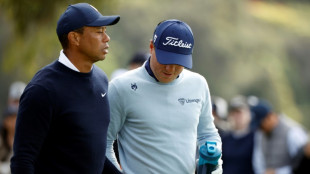 Pundits perplexed after Woods hands Thomas tampon at PGA event