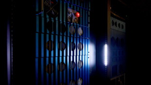 Un a&ntilde;o para celebrar la f&iacute;sica cu&aacute;ntica