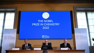 Los laureados del Premio Nobel de Qu&iacute;mica de la &uacute;ltima d&eacute;cada