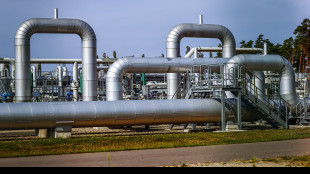 Il prezzo del gas chiude in rialzo a 58,36 euro