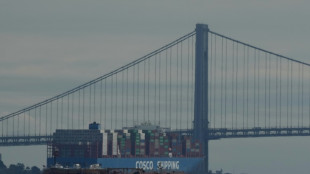 Les dockers am&eacute;ricains en gr&egrave;ve apr&egrave;s l'&eacute;chec de n&eacute;gociations