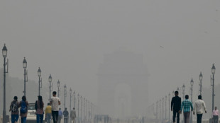 Pollution: fermeture des &eacute;coles dans une capitale indienne asphyxi&eacute;e