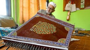 Dans le Cachemire indien, la petite musique encore vivante des santours 