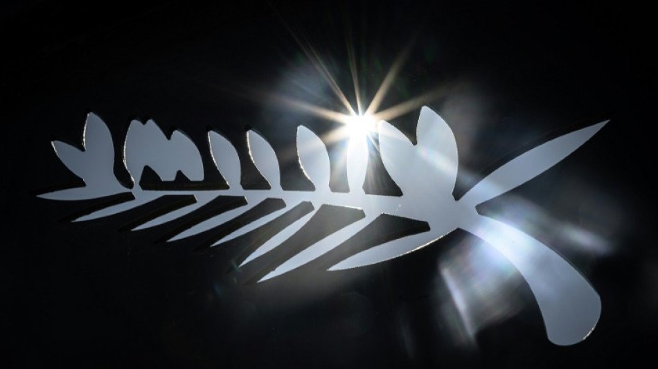 Os filmes na mostra oficial do 76&ordm; Festival de Cannes