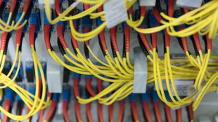 Normenkontrollrat verlangt Tempo bei Digitalisierung der Verwaltung